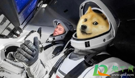 狗狗币未来达到100元真的假的1