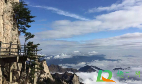 2021河南274家景区免门票是真的吗3