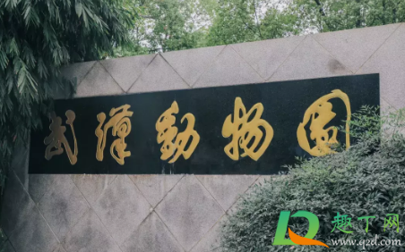 武汉动物园2021年1月1日关闭是真的吗3