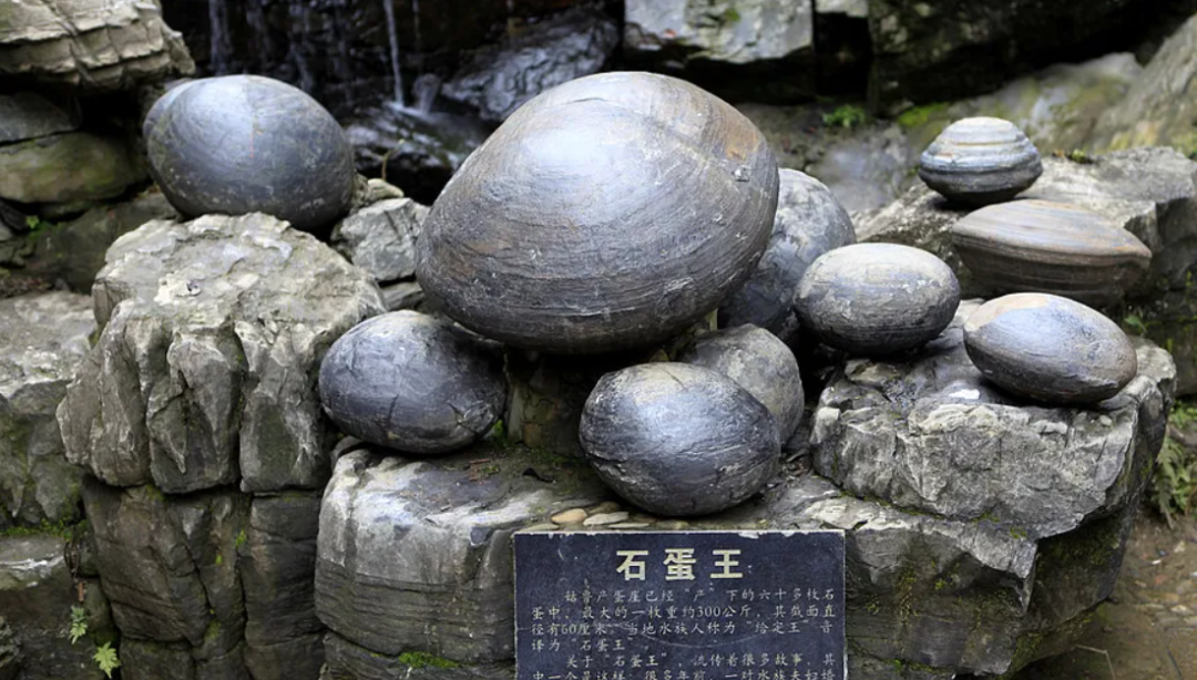 石蛋是什么,东北石蛋到底是什么