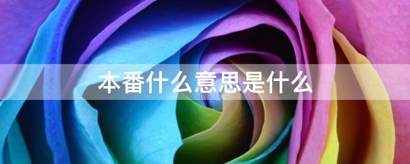 本番在日语里的意思（本番什么意思啊