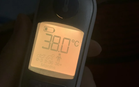 甲流是宠物传给人的病毒吗2