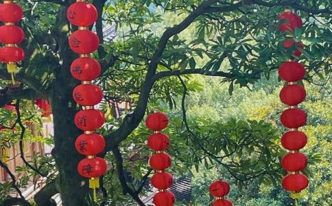 法喜寺为什么不能乱去的1