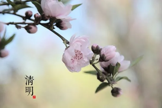 新坟清明节上坟要提前一天吗3