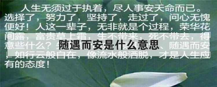 随遇而安的意思是什么，随遇而安是很高的境界