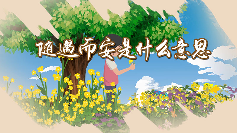 随遇而安的意思是什么,随遇而安是很高的境界