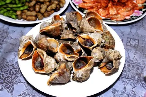 蒸海螺口朝上还是朝下1