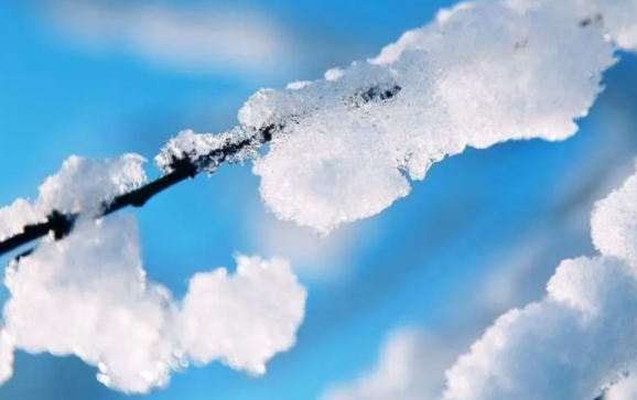 2023年三九天降雪多不多1