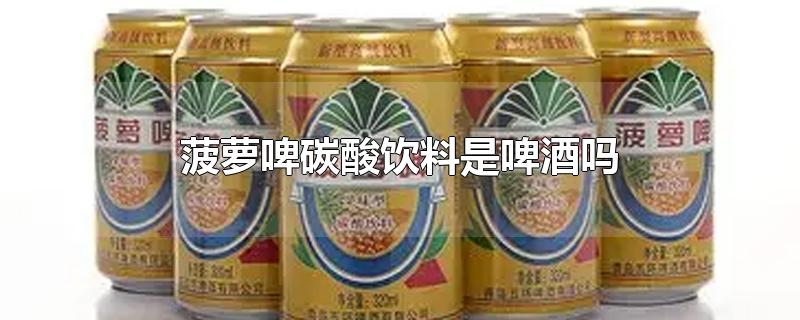 菠萝啤是啤酒还是饮料（菠萝啤属于什