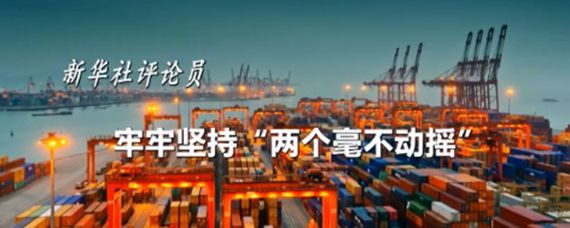 两个毫不动摇具体指什么，坚持两个不动摇是哪两个 
