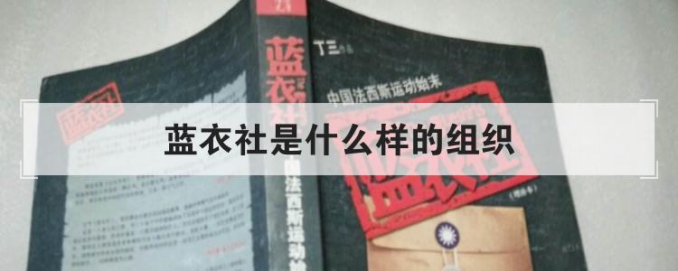 蓝衣社是什么组织，蓝衣社是干什么的 