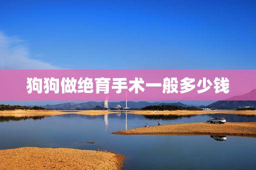 小母狗绝育手术大概需要多少费用