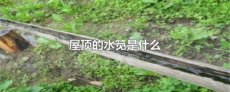 水笕指的是什么，水笕的解释 