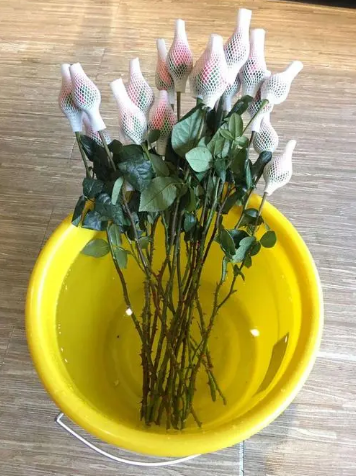 网购鲜花是空运还是陆运2