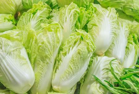 大白菜怎么做好水肥管理 3