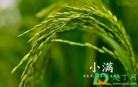小满都是5月20日左右吗3