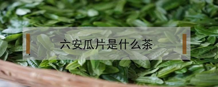六安瓜片属于什么茶类，六安瓜片是绿茶还是白茶 